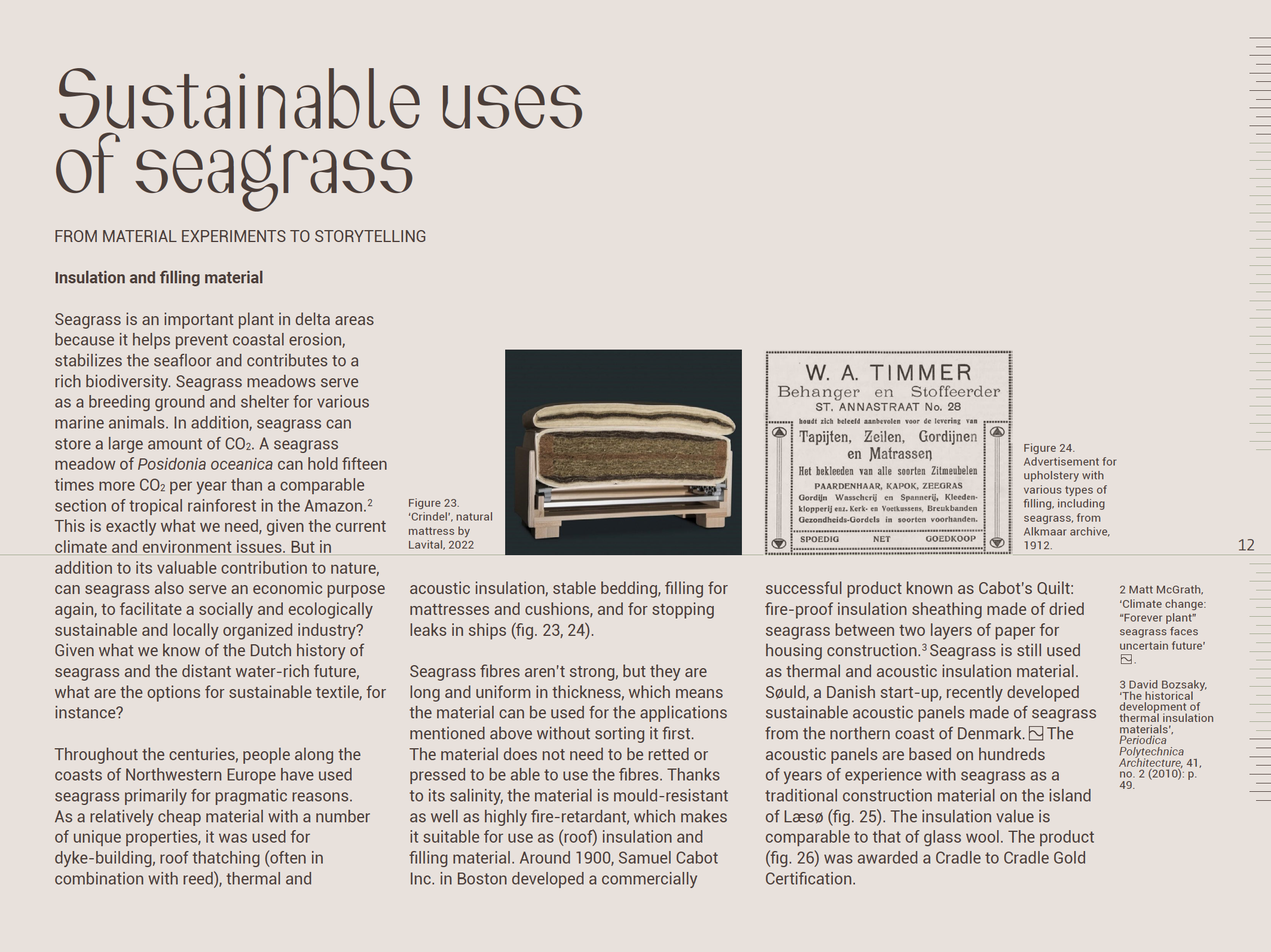 SEAGRASS